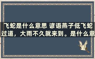 飞蛇是什么意思 谚语燕子低飞蛇过道，大雨不久就来到。是什么意思